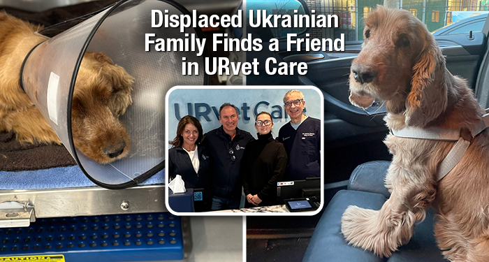 Displaced Ukrainian Family Finds a Friend in URvet Care
