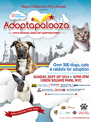 Adoptapalooza Union Square - Sunday, September 20, 2015
