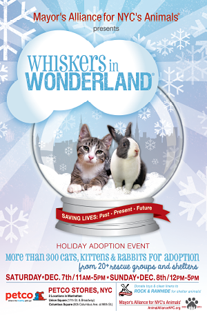 Whiskers in Wonderland - December 7 & 8, 2013