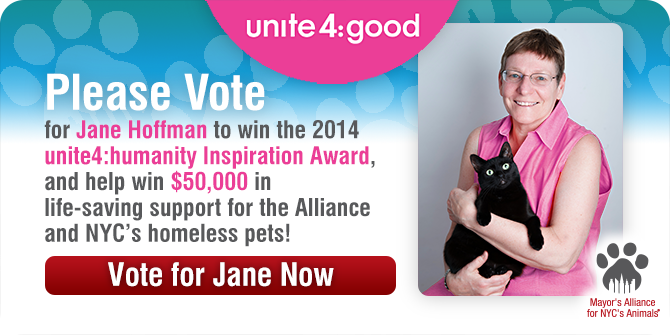 Vote for Jane Now!