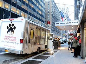 The Mayor's Alliance adoption van will be parked at the POP-UP Adoption Shop with more animals for adoption on Wednesday evenings during the weekly wine reception. (Photo by Dana Humphrey, Whitegate PR)