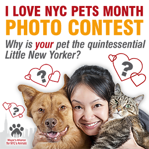 I Love NYC Pets Month Photo Contest