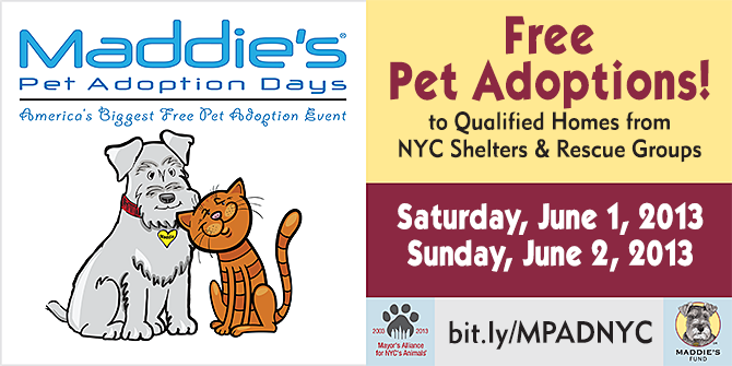 Maddie's Pet Adoption Days - New York City - June 1 & 2, 2013