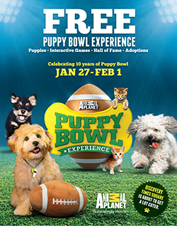 Puppy Bowl Experience - January 27-February 1, 2014