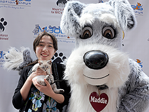 The Mayor's Alliance for NYC's Animals coordinated 90 area shelters and rescue groups to offer free pet adoptions during this year's Maddie's Pet Adoption Days in NYC. (Photo by Dana Edelson)