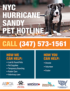 NYC Hurricane Sandy Pet Hotline