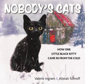 Nobody's Cats by Valerie Ingram and Alistair Schroff