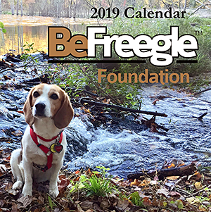 BeFreegle Foundation: 2019 Calendar