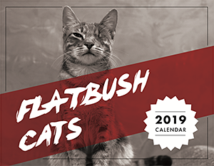 Flatbush Cats: 2019 Calendar