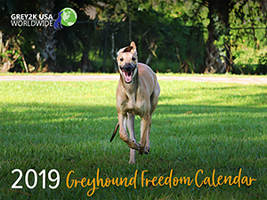 GREY2K USA Worldwide: 2019 Greyhound Freedom Calendar
