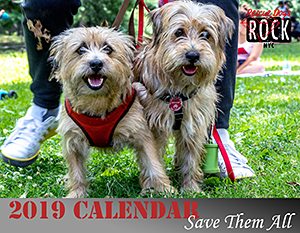 Rescue Dogs Rock NYC: 2019 Calendar