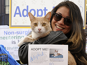 Close to 5,500 pets were adopted in a single weekend during Maddie's Pet Adoption Days in NYC on May 31 & June 1, 2014. (Photo by Dana Edelson)