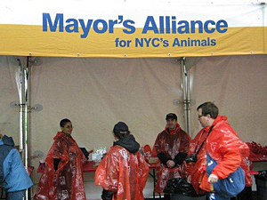'Miles For Paws' Team volunteers staffed the Mayor's Alliance information table at the K9K Pet Cancer Awareness Walk in Brooklyn on April 25. (Photo by Laura Covino)