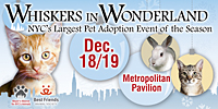 Whiskers In Wonderland - December 18 & 19, 2010