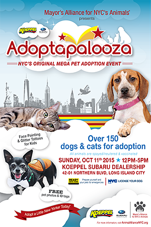 Adoptapalooza Long Island City - Sunday, October 11, 2015