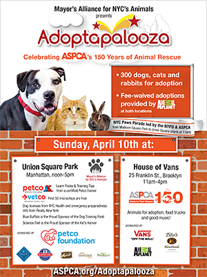 Adoptapalooza Union Square - Sunday, April 10, 2016