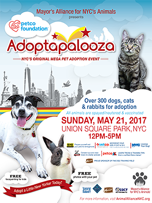 Adoptapalooza Union Square - Sunday, May 21, 2017