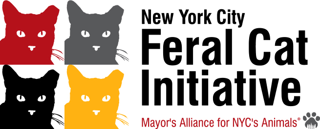 NYC Feral Cat Initiative