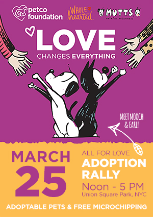 All for Love Adoption Rally - Sunday, March 25, 2018