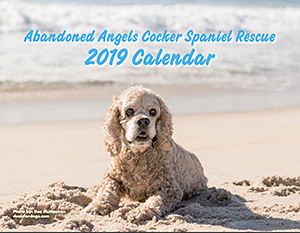 Abandoned Angels Cocker Spaniel Rescue: 2019 Calendar