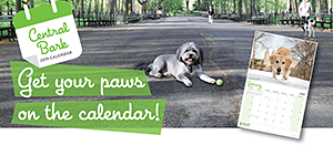 Central Park Conservancy: 2019 Central Bark Calendar