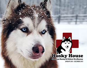 Husky House: 2019 Calendar