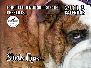 Long Island Bulldog Rescue: The Stink Eye 2019 Calendar