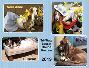 Tri-State Basset Hound Rescue: 2019 Calendar