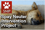 Spay Neuter Intervention Project (SNIP)