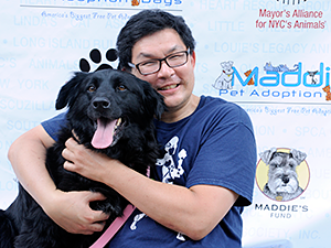 3,098 pet adoptions happened in a single weekend during Maddie's Pet Adoption Days in NYC on June 1 & 2, 2013. (Photo by Dana Edelson)