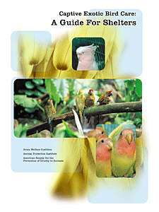 Captive Exotic Bird Care: A Guide for Shelters was written specifically to help animal care workers and shelter staff provide the best possible care and placement for parrots and other exotic birds.