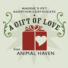 The Maddie's Pet Adoption Certificate is the perfect solution for those who want to give the gift of an Animal Haven pet adoption. The certificate was designed by graphic designer Grace Lerner-Sharfstein, a volunteer with the Mayor's Alliance and A Cause for Paws, an Alliance Participating Organization (APO).