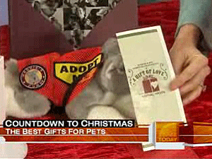 The Maddie's Pet Adoption Certificate for Animal Haven was highlighted on NBC's 'Today Show.'