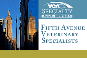 Fifth Avenue Veterinary Specialists' holiday food drive benefited Mayor's Alliance Participating Organizations.