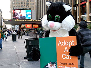 A human-sized cat welcomes Adopt-A-Cat attendees to Madison Square Garden while a video featuring cats for adoption plays on the giant outdoor plasma screen. (Photo by Rick Edwards)