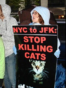 The Mayor's Alliance mobilized the public and the animal protection community to support a TNR plan for the JFK cats. (Photo by Meredith Weiss, Neighborhood Cats)