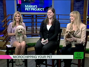 Siobhan Healy of the Mayor's Alliance (center) discusses the importance of microchipping with 'LX New York' host Maria Sansone and her dog Ralphie and guests Rhoda and her dog Luna, who was returned thanks to her microchip. (Photo by 'LX New York')