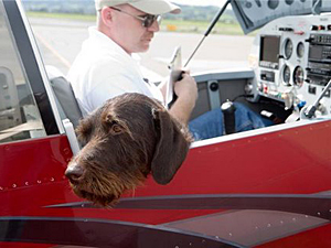Pilots N Paws pilot Joe Radford and his canine passenger Seven get ready for take-off. (Photo courtesy of Pilots N Paws)