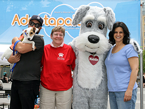AC&C Executive Director Julie Bank (far right) participated in the Mayor's Alliance Adoptapalooza event in May, pictured here with (left to right) Geoff Renaud, Event Producer; Jane Hoffman, Mayor's Alliance President; and the Maddie's Fund mascot. (Photo by Jerritt Clark)