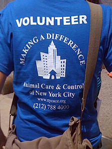 AC&C would love to have you join its recently revamped volunteer program this fall! (Photo by AC&C)