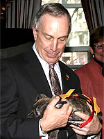 NYC Mayor Michael Bloomberg cradles Columbus, a brindle Pit Bull puppy from the ASPCA, during a press conference at City Hall. At the event, he thanked Maddie's Fund for its $15.5 million grant to transform NYC into a no-kill community, and the ASPCA for its $5 million lead grant that allowed the Mayor's Alliance to qualify for the Maddie's Fund grant.