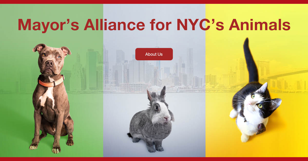 Mayor's Alliance for NYC's Animals home page