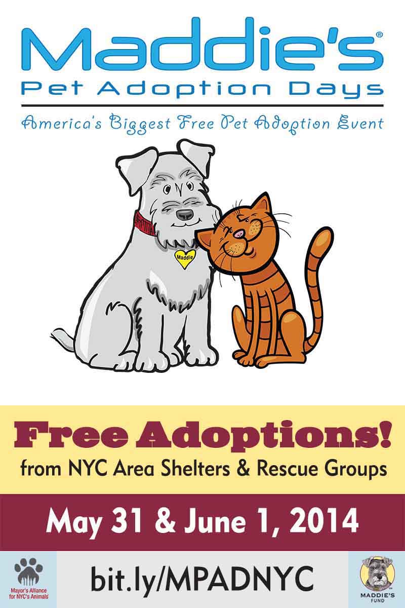 Maddie's Pet Adoption Days banner