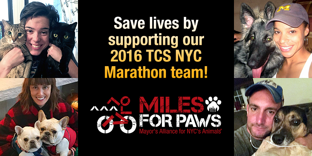 Miles For Paws Team to Run 2016 TCS NYC Marathon