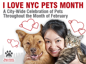 Join the Sixth Annual Celebrations for Mayor’s Alliance’s I Love NYC Pets Month