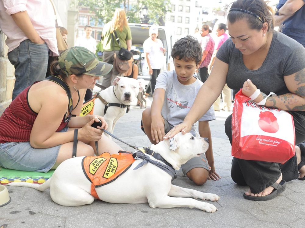 Mother and son with adoptable dog at Adoptapalooza. Photo by Dana Edelson