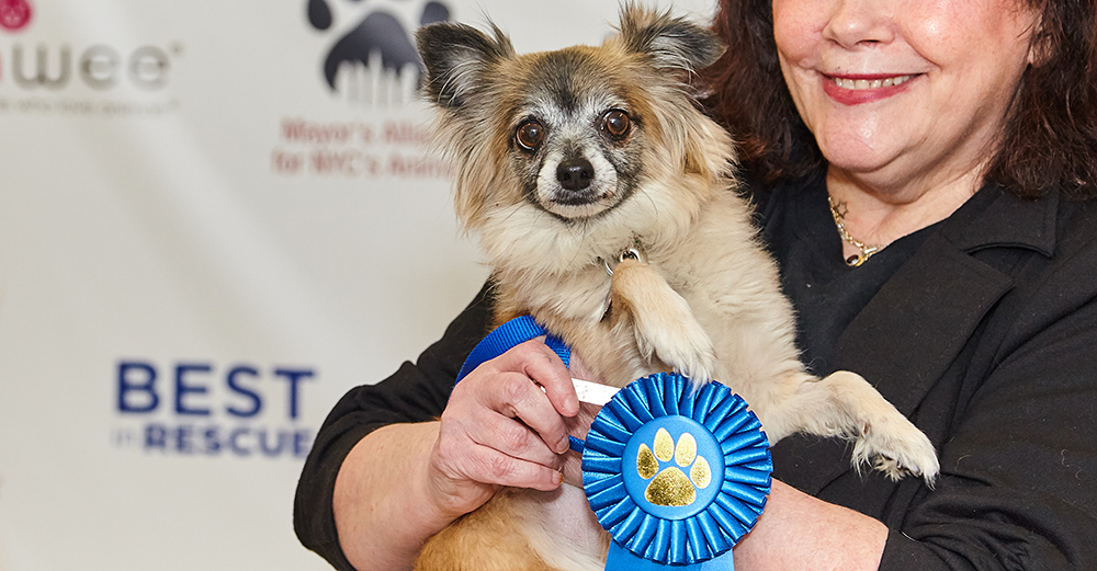 Move Over, Westminster! “Best in Rescue” Names Winners