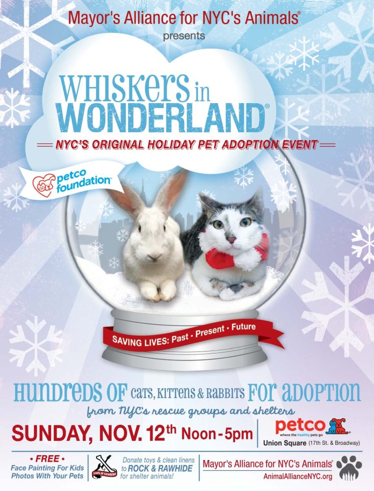 Whiskers in Wonderland event flyer 2017