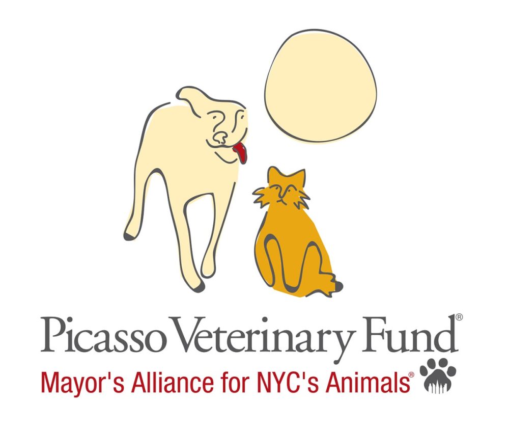 Picasso Veterinary Find logo