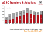 AC&C Transfers & Adoptions chart